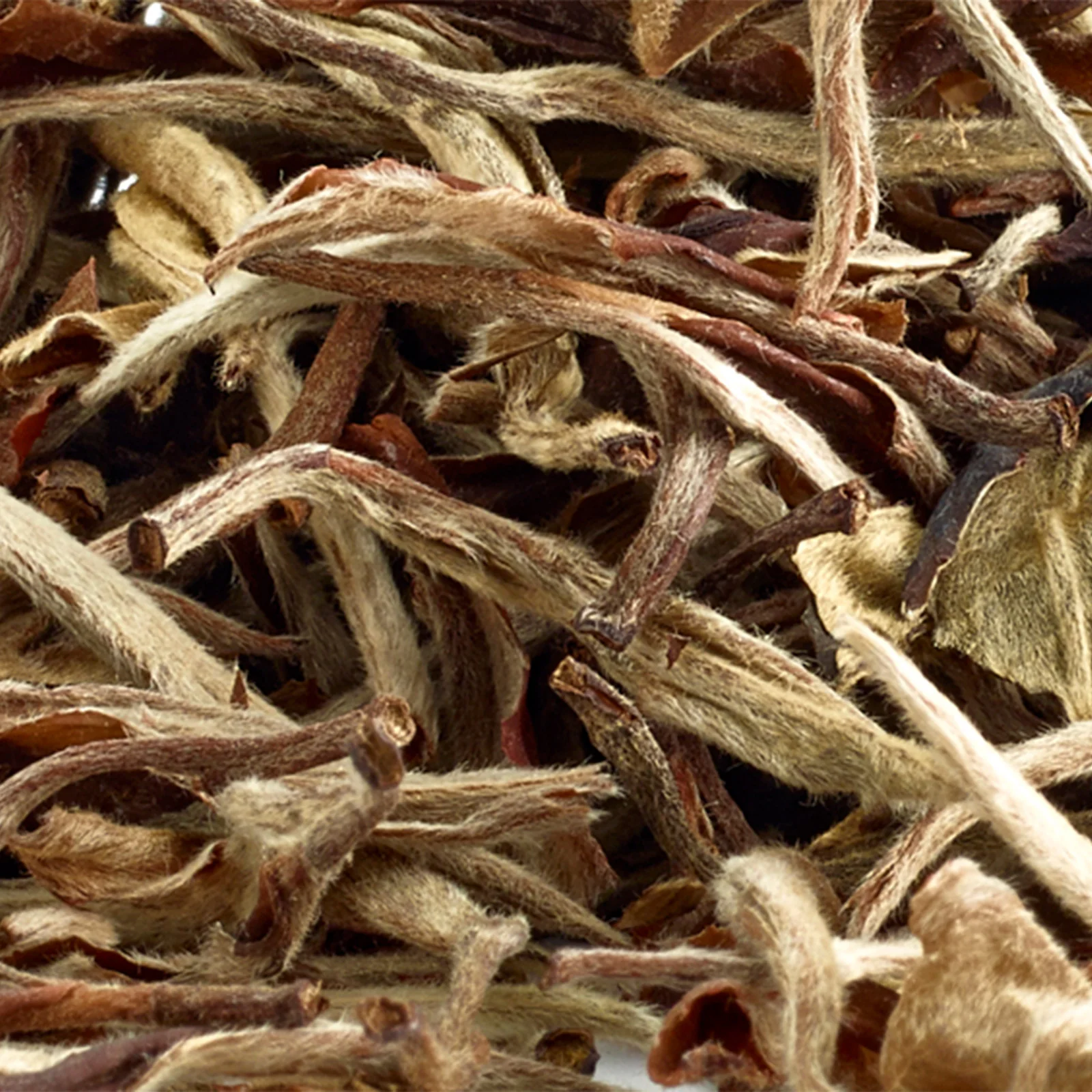China White - 50g Loose Leaf Tea - Image 6