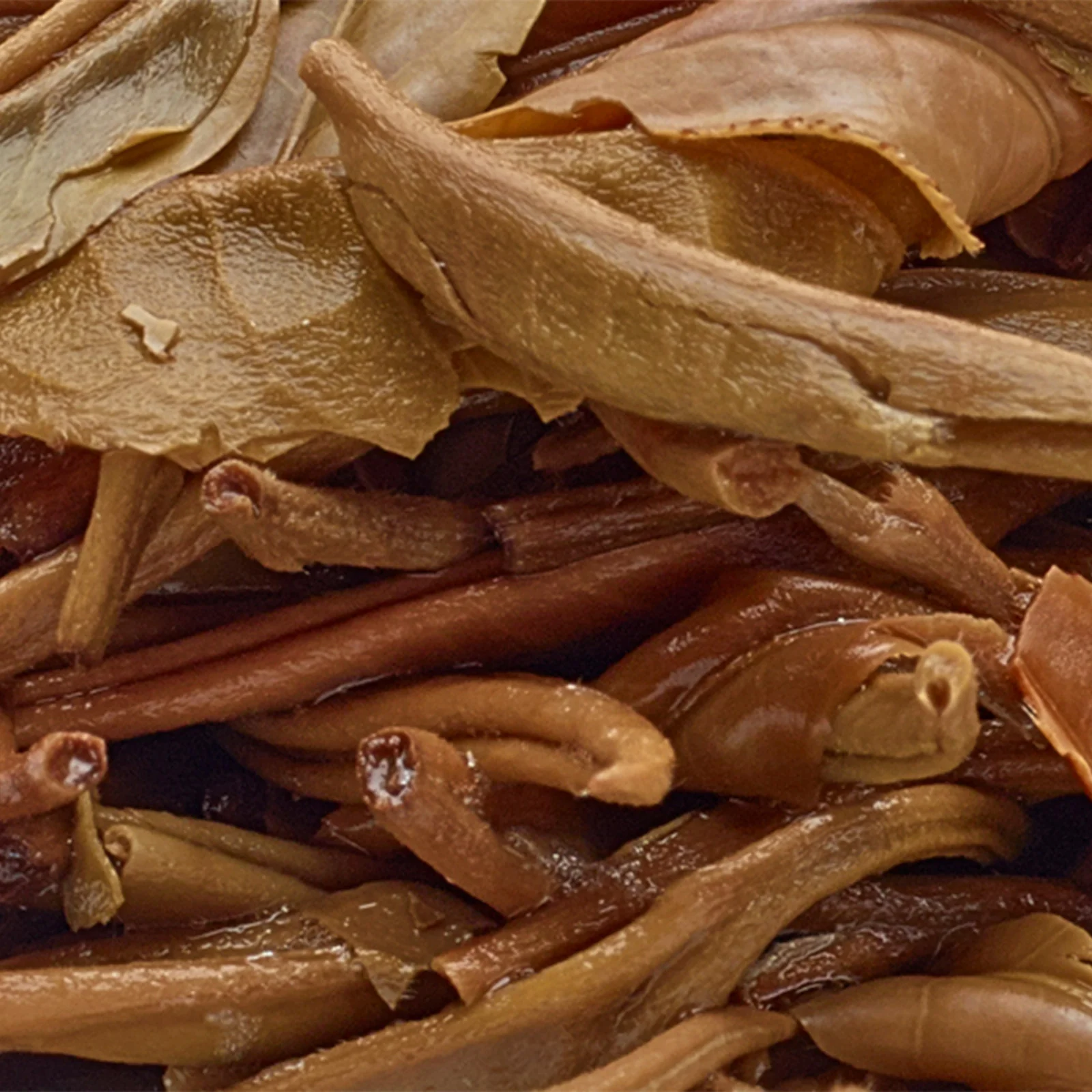 China White - 50g Loose Leaf Tea - Image 9