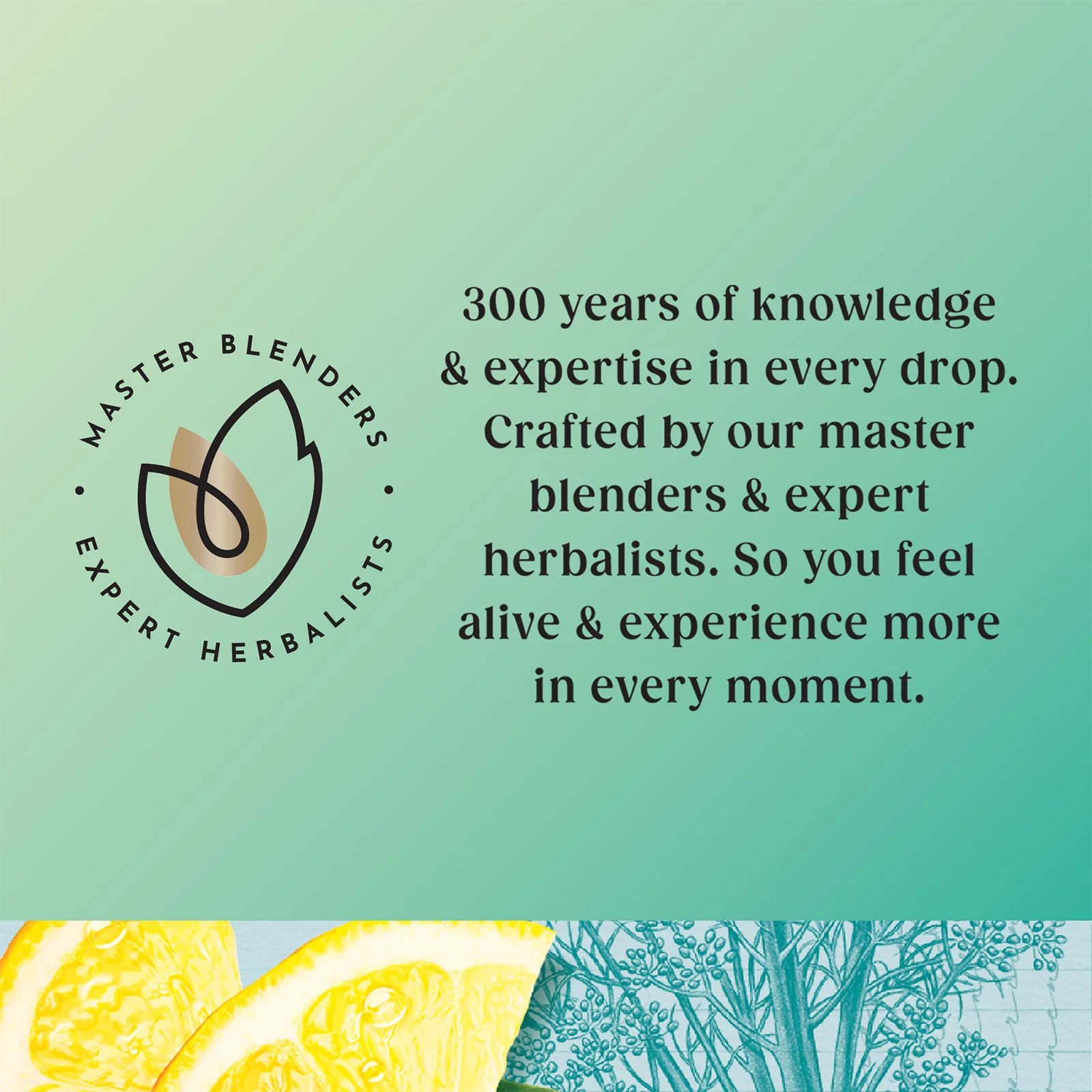 Superblends Detox - 4 x 20 Envelopes - Image 5