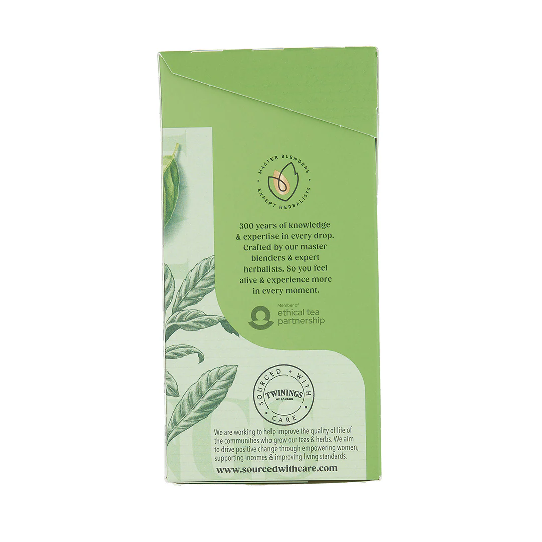 Green Tea & Black Tea Blend - 80 Tea Bags - Image 3