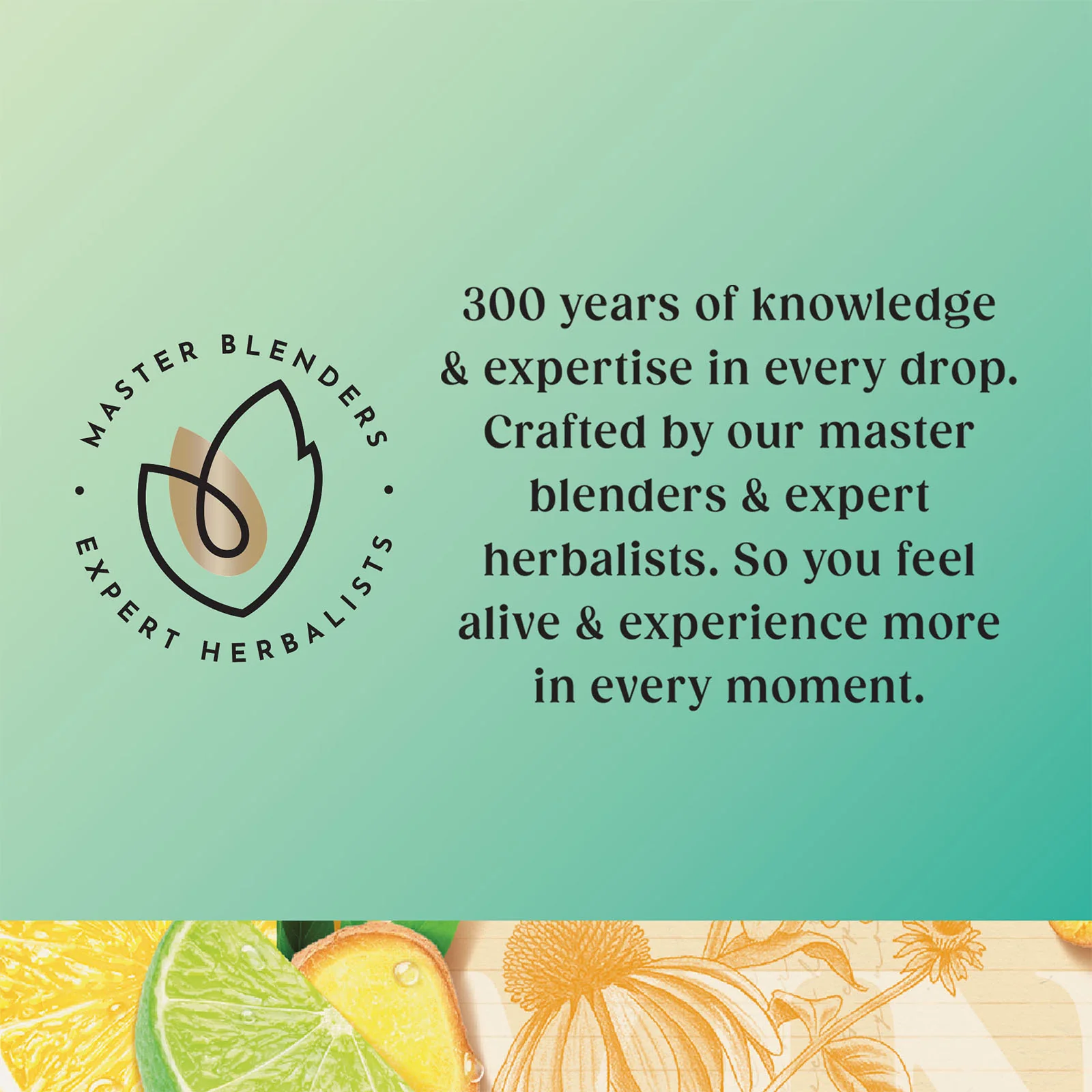 Superblends Defence - 4 x 20 Envelopes - Image 3