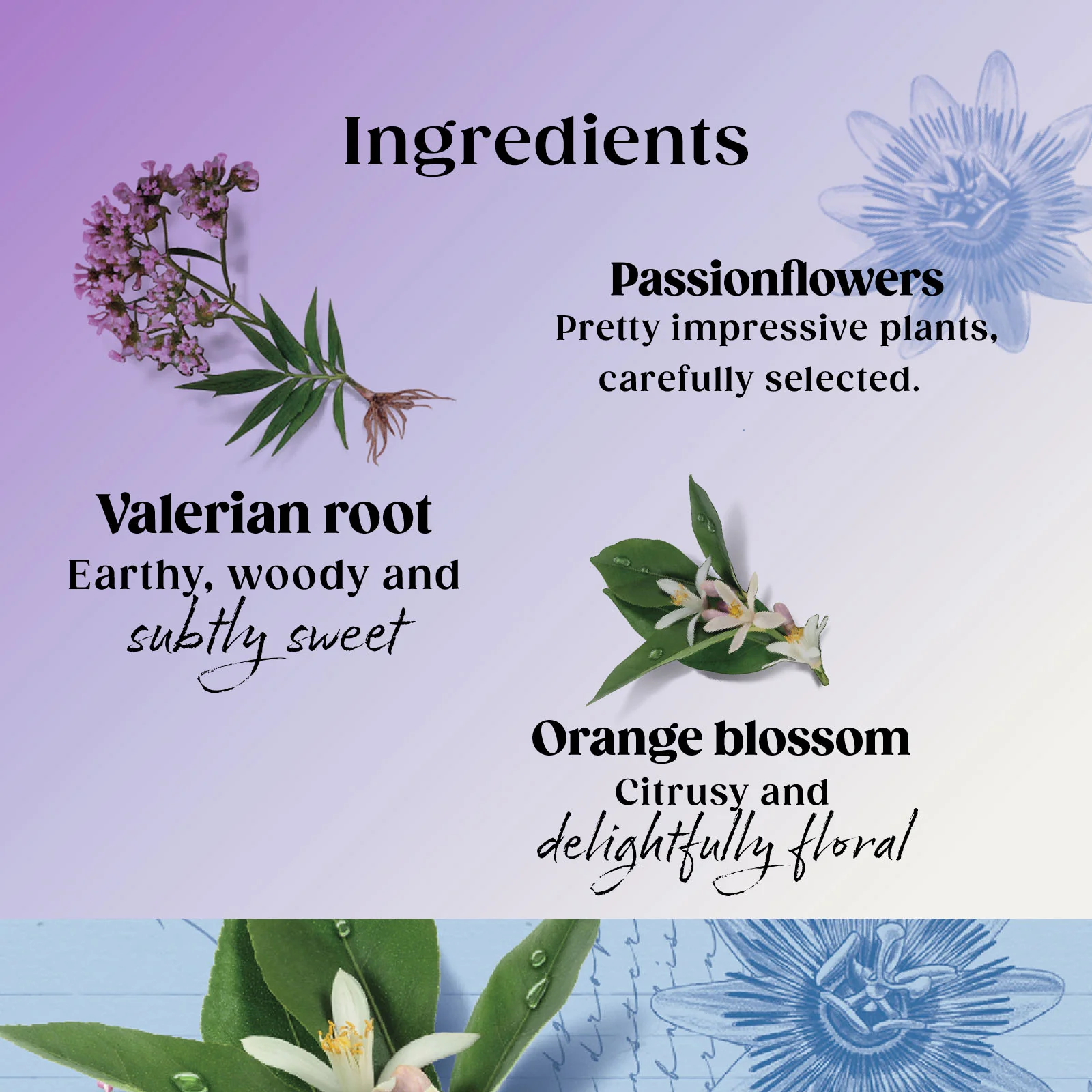 Superblends Sleep Valerian & Orange Blossom - 4 x 20 Envelopes - Image 3