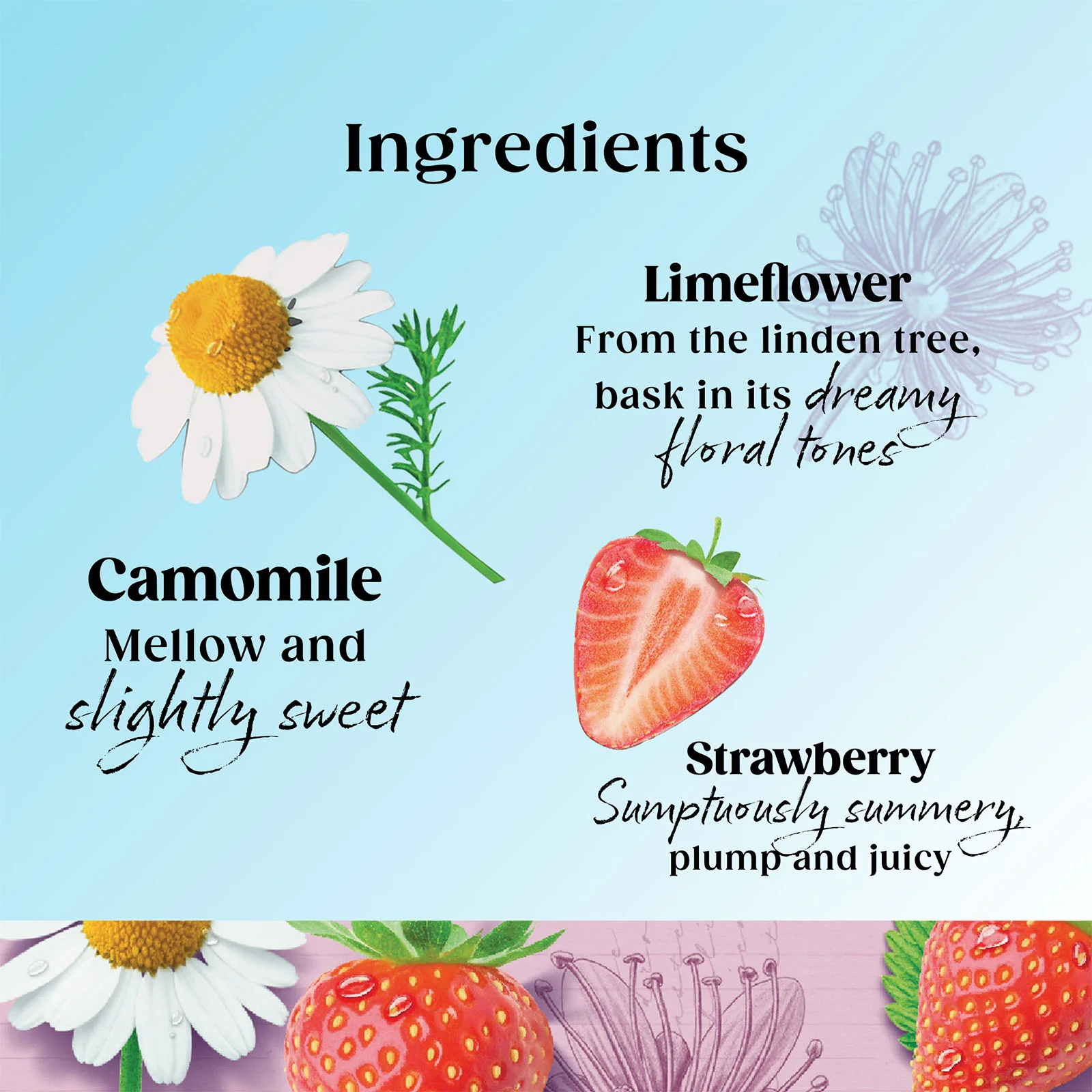 Superblends Unwind - 4 x 20 Envelopes - Image 3