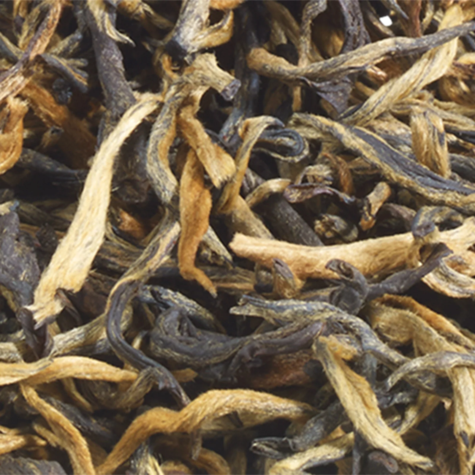 Yunnan Gold Tip - 75g Loose Leaf Tea - Image 6