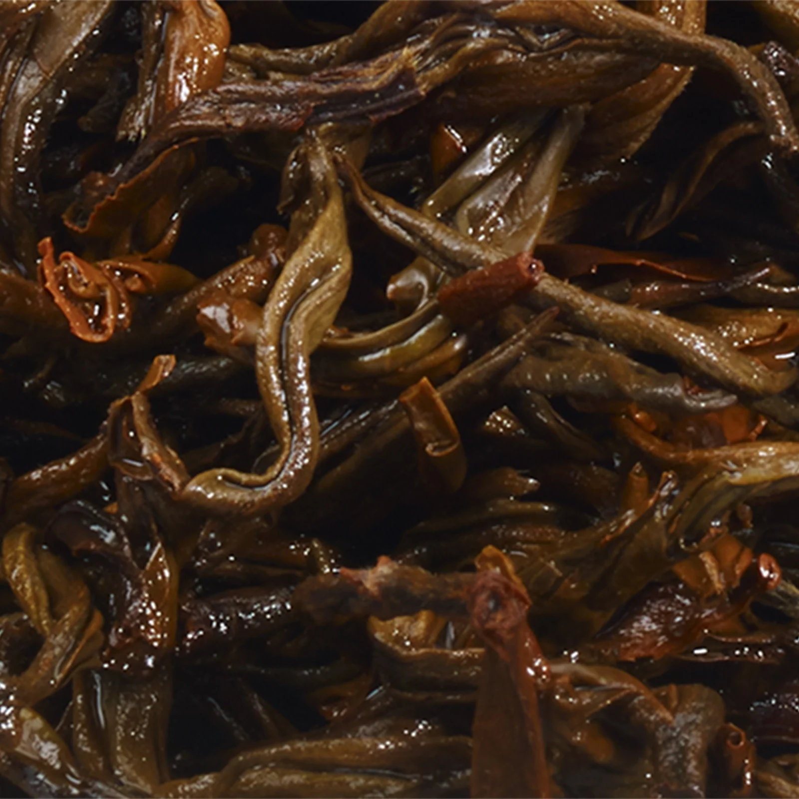 Yunnan Gold Tip - 75g Loose Leaf Tea - Image 7